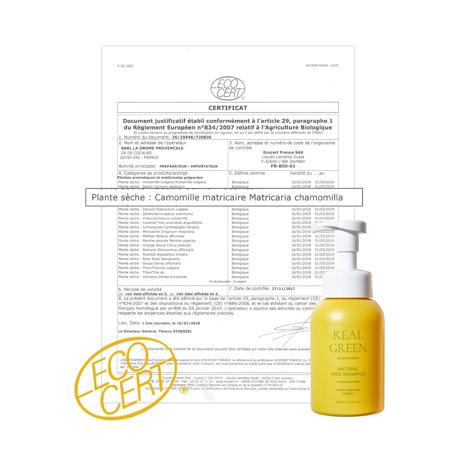 Real Green Natural Kids Shampoo | Organic Cold Brewed Chamomile, Betaine & Xylitol | for Dry Kids Hair | Silicone-Free, Korean Hair Care | 10.14 Fl. Oz